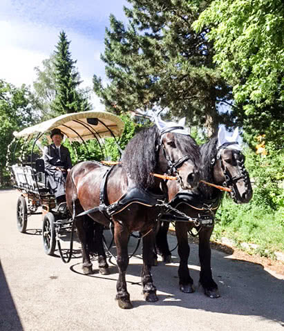 Hochzeitskutsche
