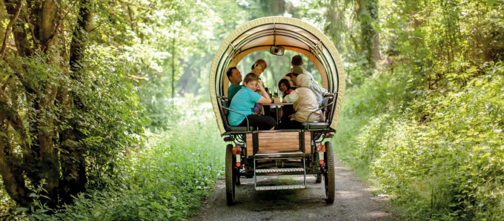 Planwagenfahrt durch den Wald